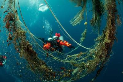 Hyundai renews partnership with marine conservation organisation Healthy Seas