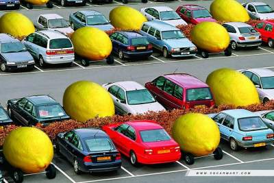 Lemon Law refund policy frequently asked questions