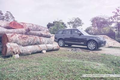Land Rover Range Rover Diesel 3.0 Vogue TDV6 (A) Review