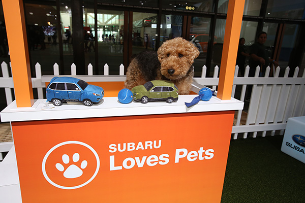 Subaru Loves Pets campaign to return for October 2023