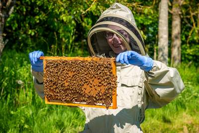 Rolls-Royce prepares to celebrate World Bee Day