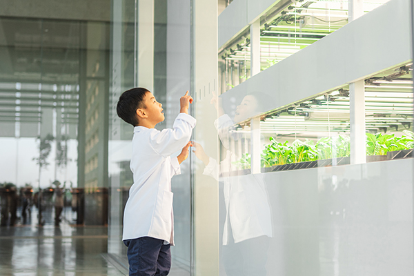 HMGICS launches new Smart Food Lab workshop for kids
