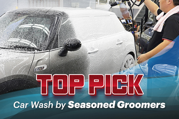 Recommended Car Wash Services By Professional Auto Groomers