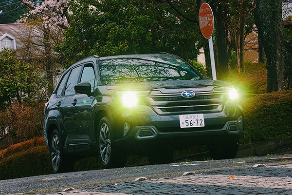 Driving the Subaru Forester where it feels most at home