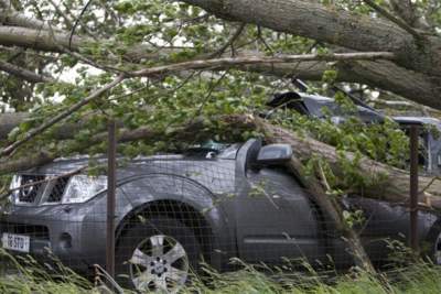 Monsoon season causes trees to fall, damages cars