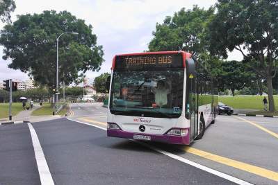 Chain accident after bus driver collapsed at the wheel