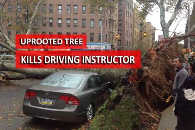 Driving instructor killed after a tree fell on his car