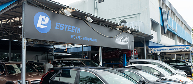 THE BUDDING EV CAR SPECIALIST