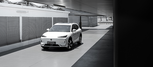 IS PROTON HERE TO STAY?