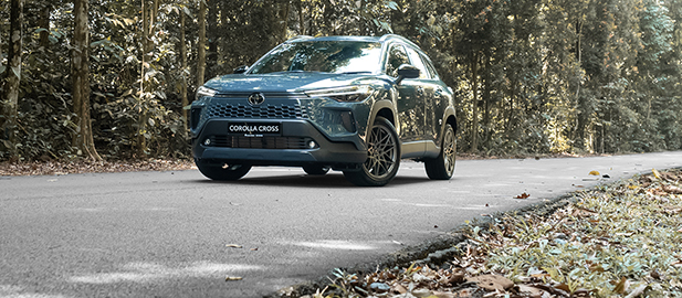 ARE SPECIAL EDITION CARS NECESSARY HERE?